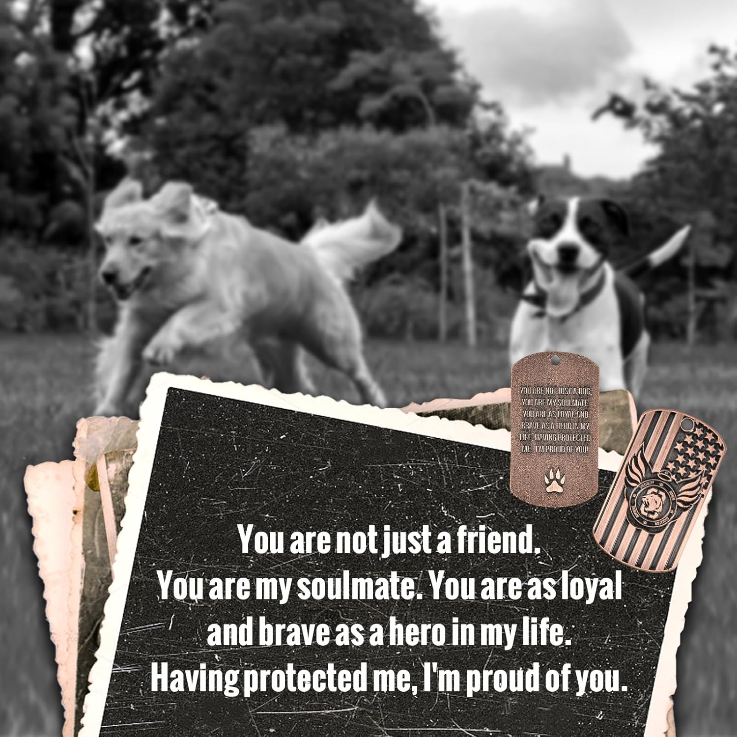 OneTigris Pet Memorial Gifts for Dogs - 32" Wind Chimes with Metal Picture Frame, Pet Loss Sympathy Gift, Dogs Remembrance Gift for Loss of Dog, in Memory of Dog - Image 4