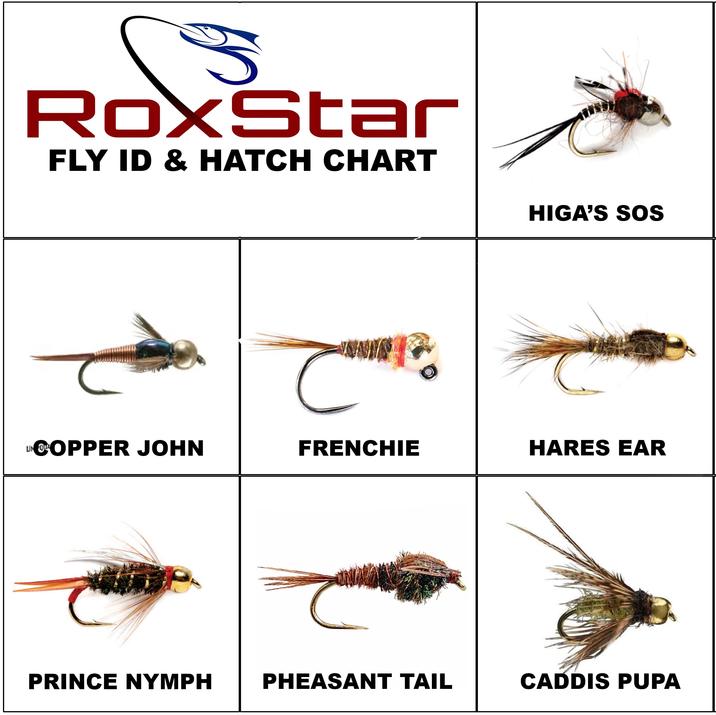 RoxStar Fly Shop Nymph Fly Hatch Pack | 14 Premium Flies + 1 Year Membership to Trout Unlimited & RoxStar Club | Proven Fishing Flies | Tied in House - Never Outsourced