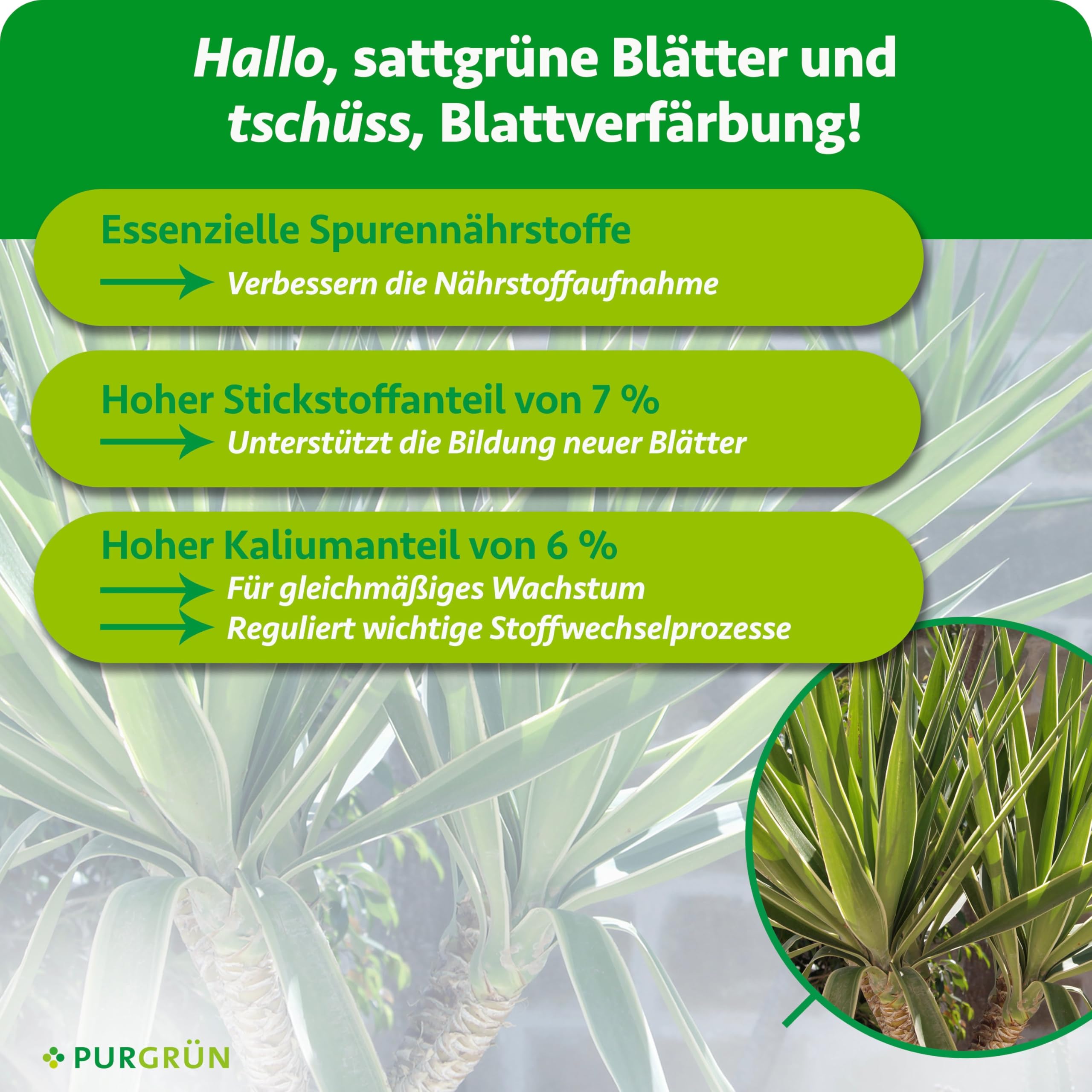 Yucca-Dünger 1 Liter – Schnelles Wachstum dank Stickstoff – Premium-Flüssigdünger mit Spurennährstoffen – Stärkt die Widerstandskraft – Ergiebiges Konzentrat für 400 Liter Gießwasser