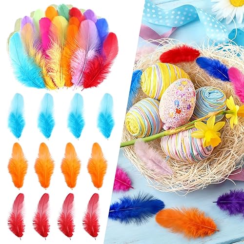 THARAHT Colorful Craft Rooster Feathers 300pcs 3-5inch for Kindergarten DIY