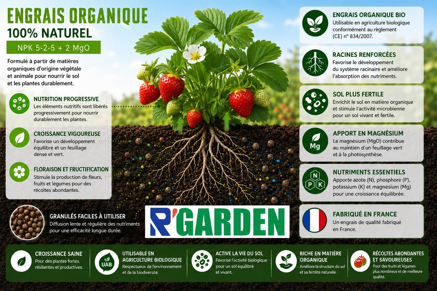 R’GARDEN – Engrais organique Fraise, Framboise & Fruit Rouge – Récoltes abondantes – Action lente et progressive – Fabriqué en France (3Kg)