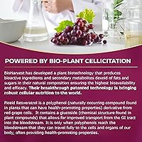 Vista 8 de VINIA BioHarvest Sciences - Resveratrol de piceida de absorción rápida de liberación sostenida de 12 horas producido de forma sostenible.