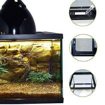 Amazon.co.jp: 爬虫類 飼育用ケース 360°昆虫の爬虫類のための