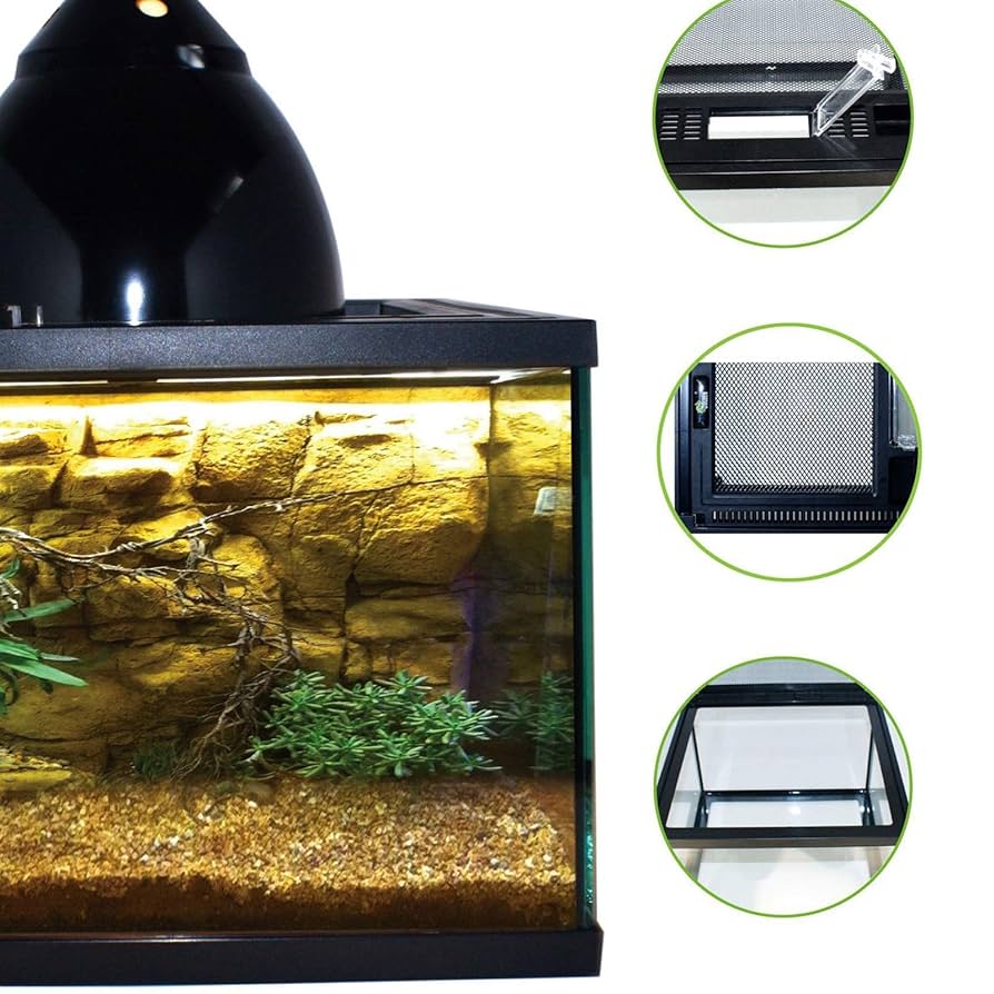 温室・飼育ケース nao 楽天市場】【楽天ランキング1位入賞】昆虫ケージ 折り畳み 虫