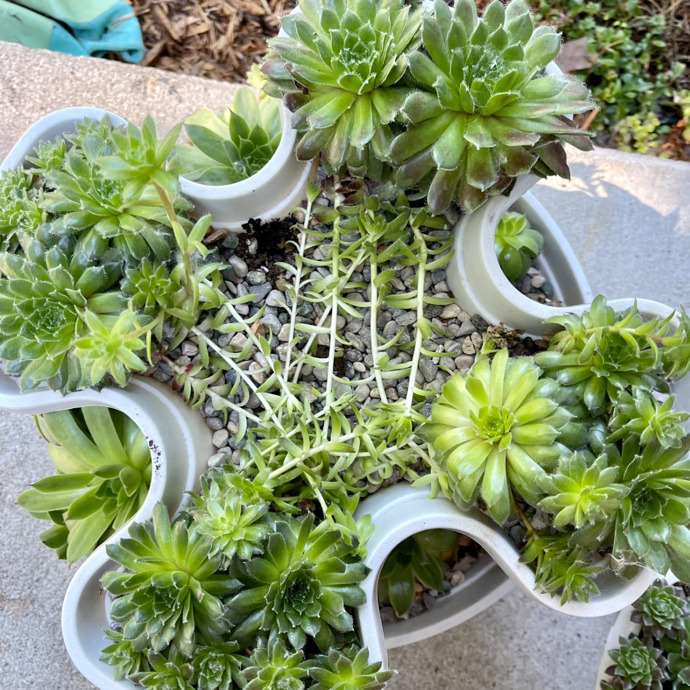 Mr. Stacky 3-tier indoor herb garden