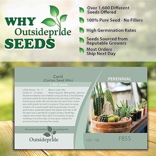 Miniatura 6 de Outsidepride Mezcla de semillas de plantas de jardín tolerante a la sequía de cactus suculentos 1000 semillas