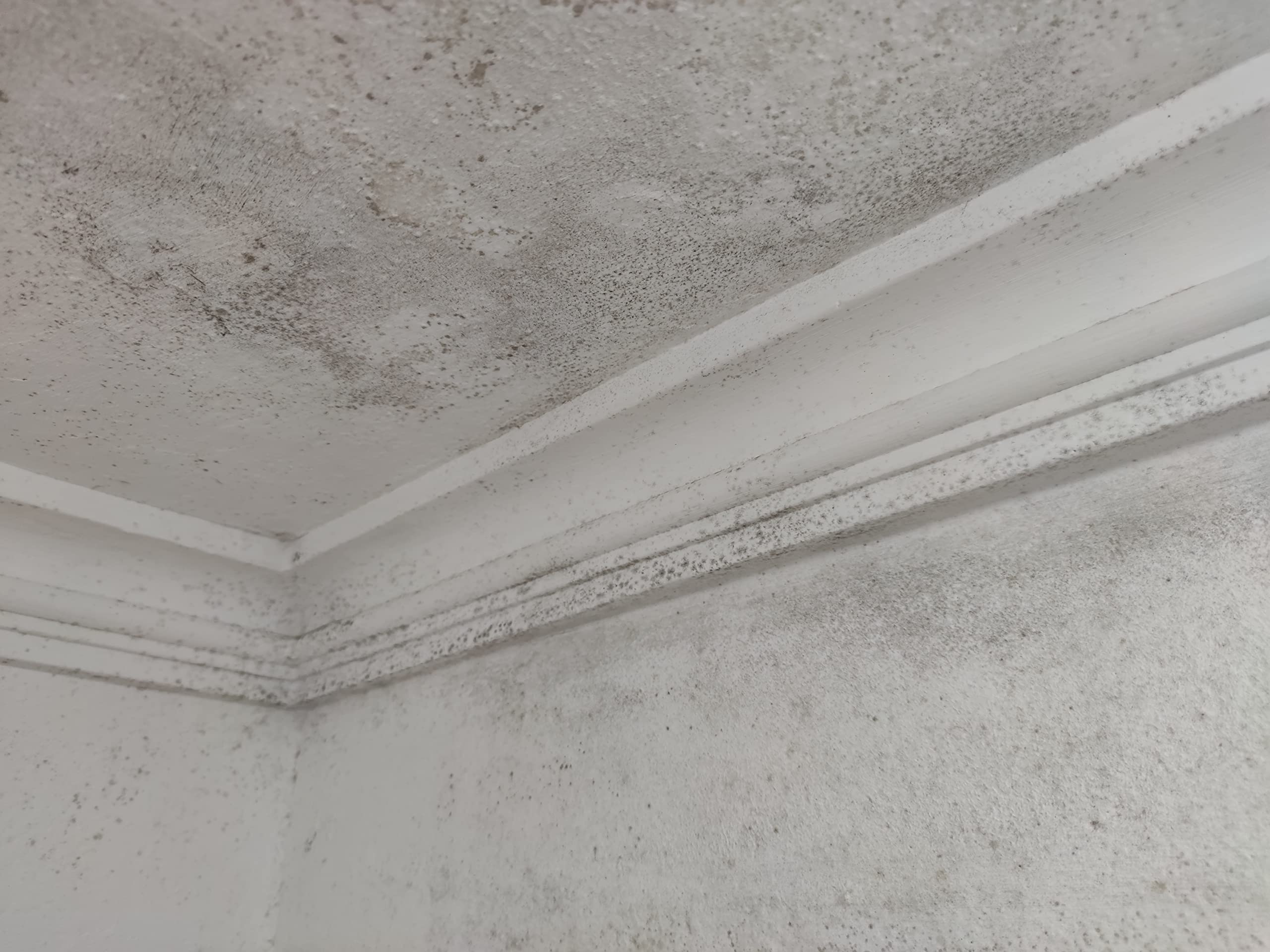 ALBACOR XTRA Pintura Antihumedad Interior - Exterior -5KG-, (Blanco Mate), Pintura Antimoho Para Techos, Baños, Cocinas, Poco Salpicado, Evita la Aparición de Moho