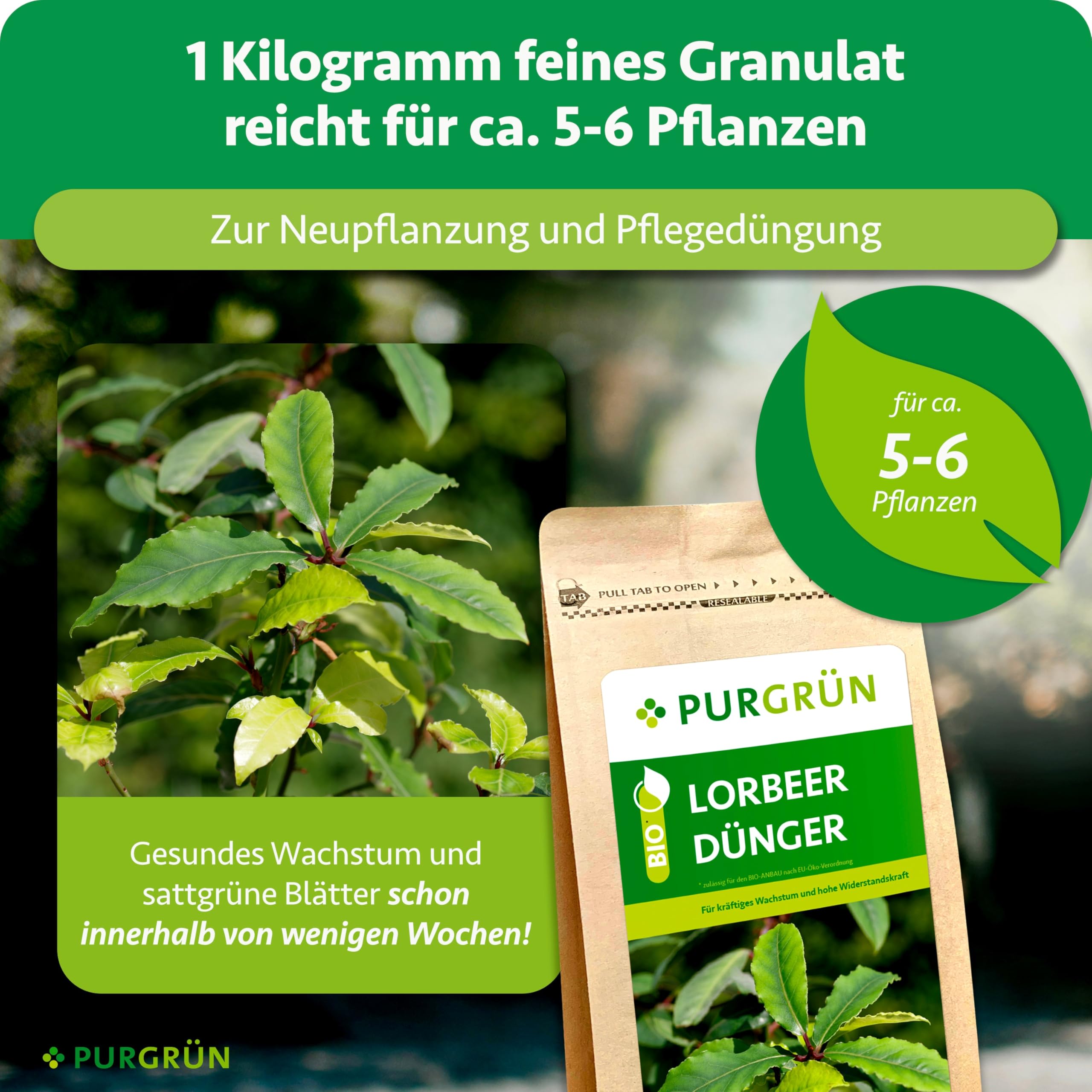 Bio-Lorbeer-Dünger 1 kg – Rein natürliche Rezeptur – Feines Krümelgranulat – NPK 6+2+7 – Extra Magnesium für leuchtend grüne Blätter – Verbessert die Bodenqualität - Für bis zu 6 Pflanzen