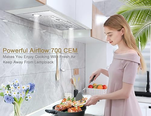 Miniatura 3 de MCBON Filtro de carbón para campana extractora, filtro de carbón para campana extractora, para inserto de campana extractora sin ventilaciónsin