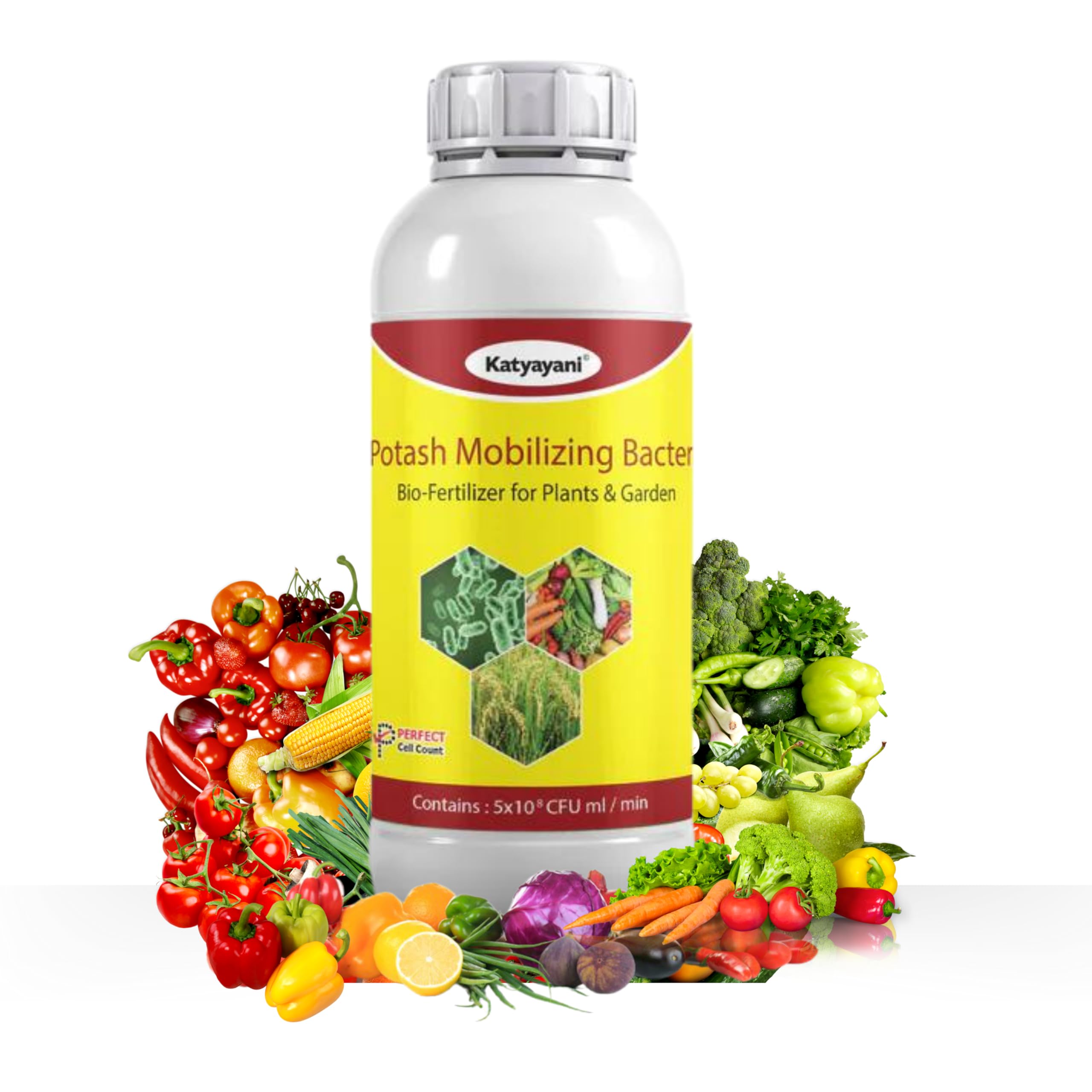 KatyayaniPotassium Mobilizing Bacteria Bio Fertilizer (5 x 10 * 8 CFU ml/min) for all Plants and Home Garden Potassium Provider Eco Friendly Liquid fixing Bacteria Recommended by NPOP (1L x 1)