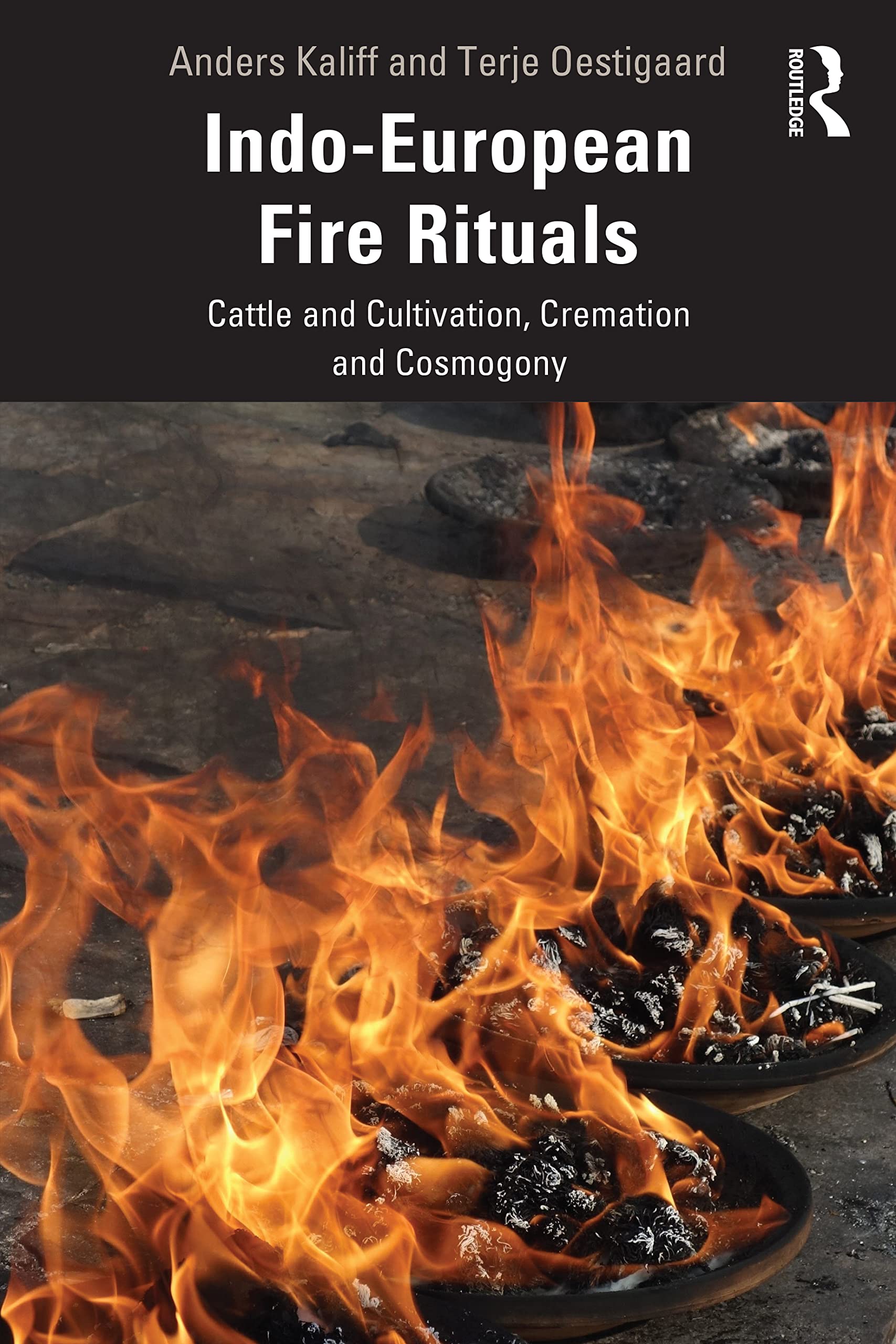 Amazon.com: Indo-European Fire Rituals: 9781032292984: Kaliff, Anders ...
