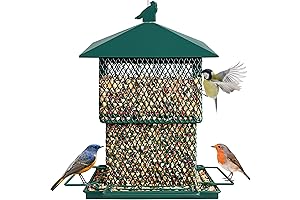 Decflow Large Outdoor Bird Feeders: Perfect for Nature Enthusiasts