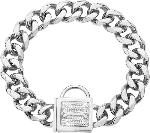 Collar de perro con cierre de circonita, 0.79 pulgadas, acero inoxidable pulido a mano, collar de lujo para cachorros, pequeño y mediano (0.748 in,