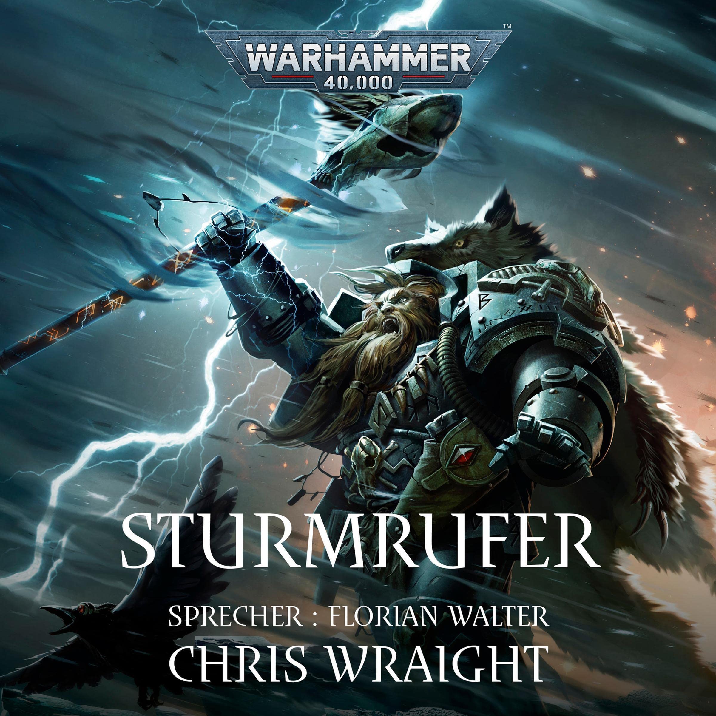 Cover art for Sturmrufer