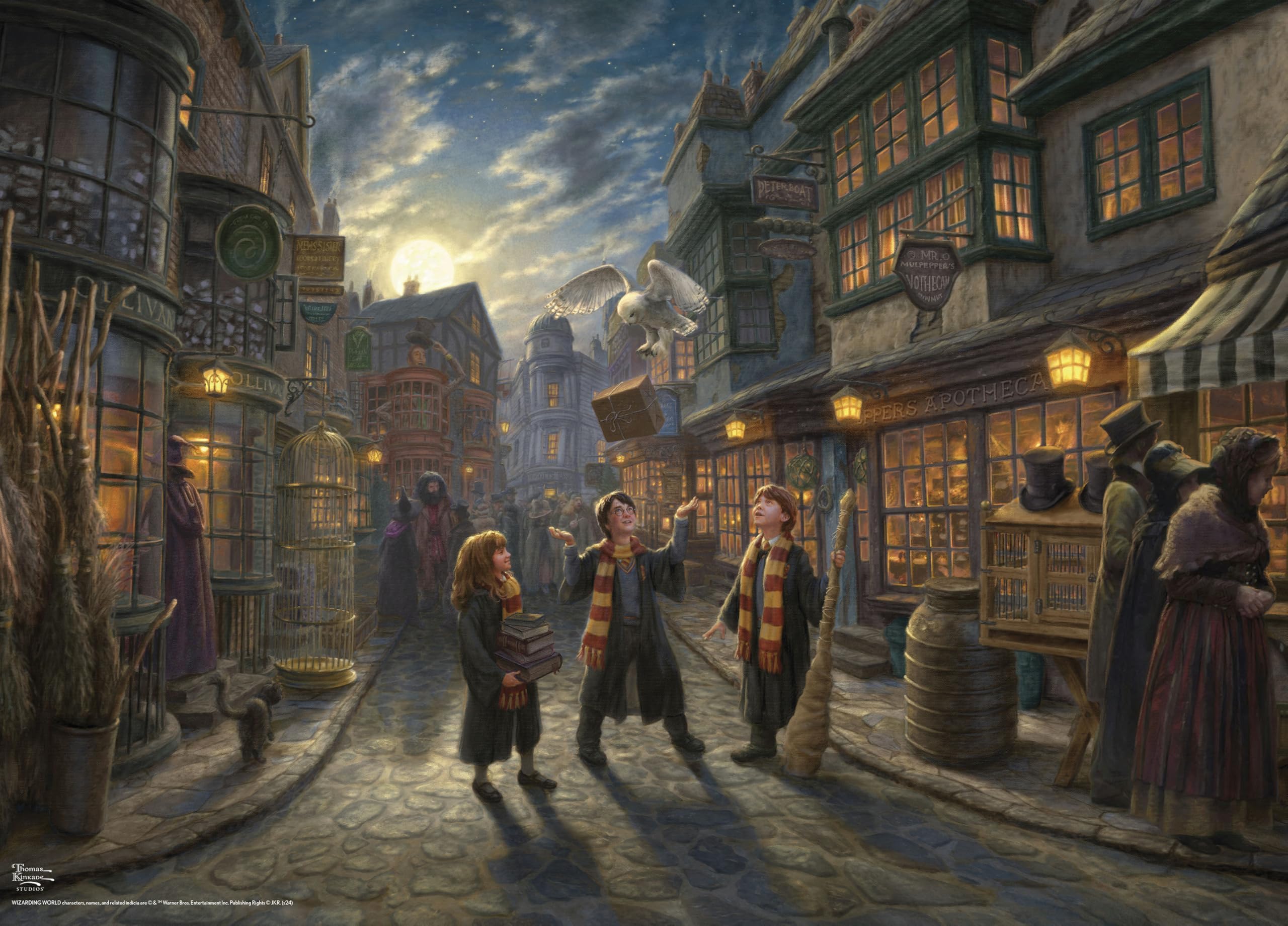 Harry Potter ディオラマ Rare, limited-edition Harry Potter diorama