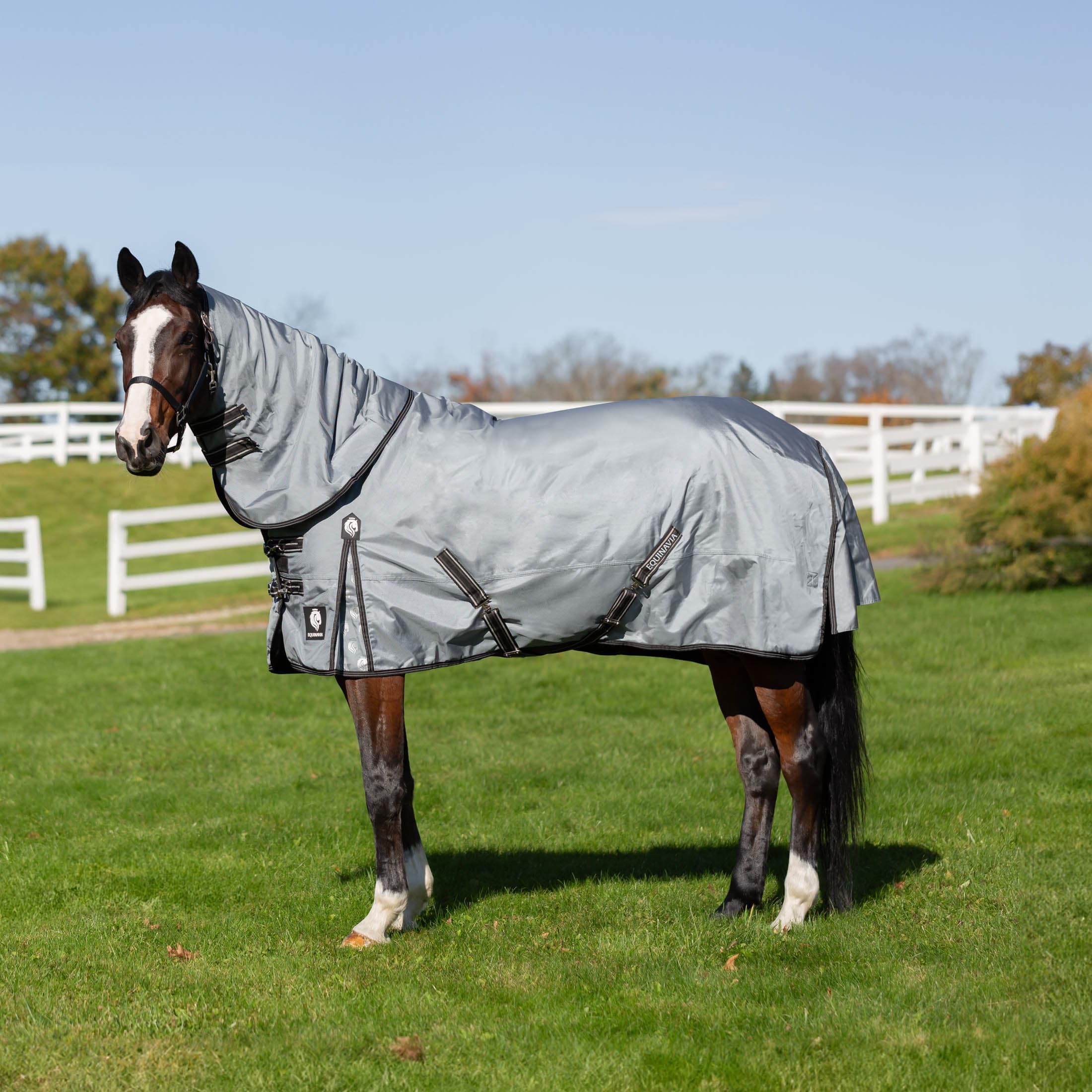 Equinavia Thunder 360 Detachable Neck Heavy Weight Turnout Blanket 300g - Pewter Gray - 81 in