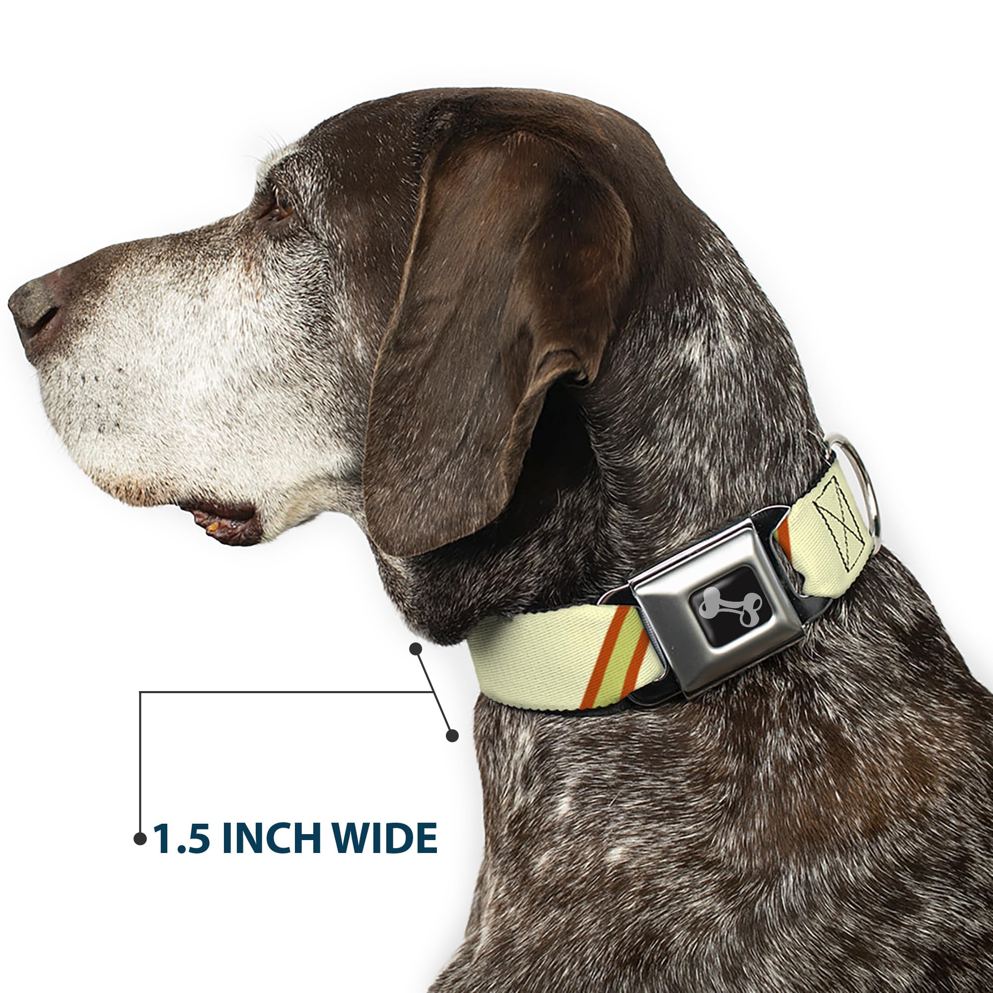 Buckle-Down DC-W30635-WL - Cinturón de Seguridad para Perro, Talla L, diseño de Rayas, Color marrón, Naranja y Verde