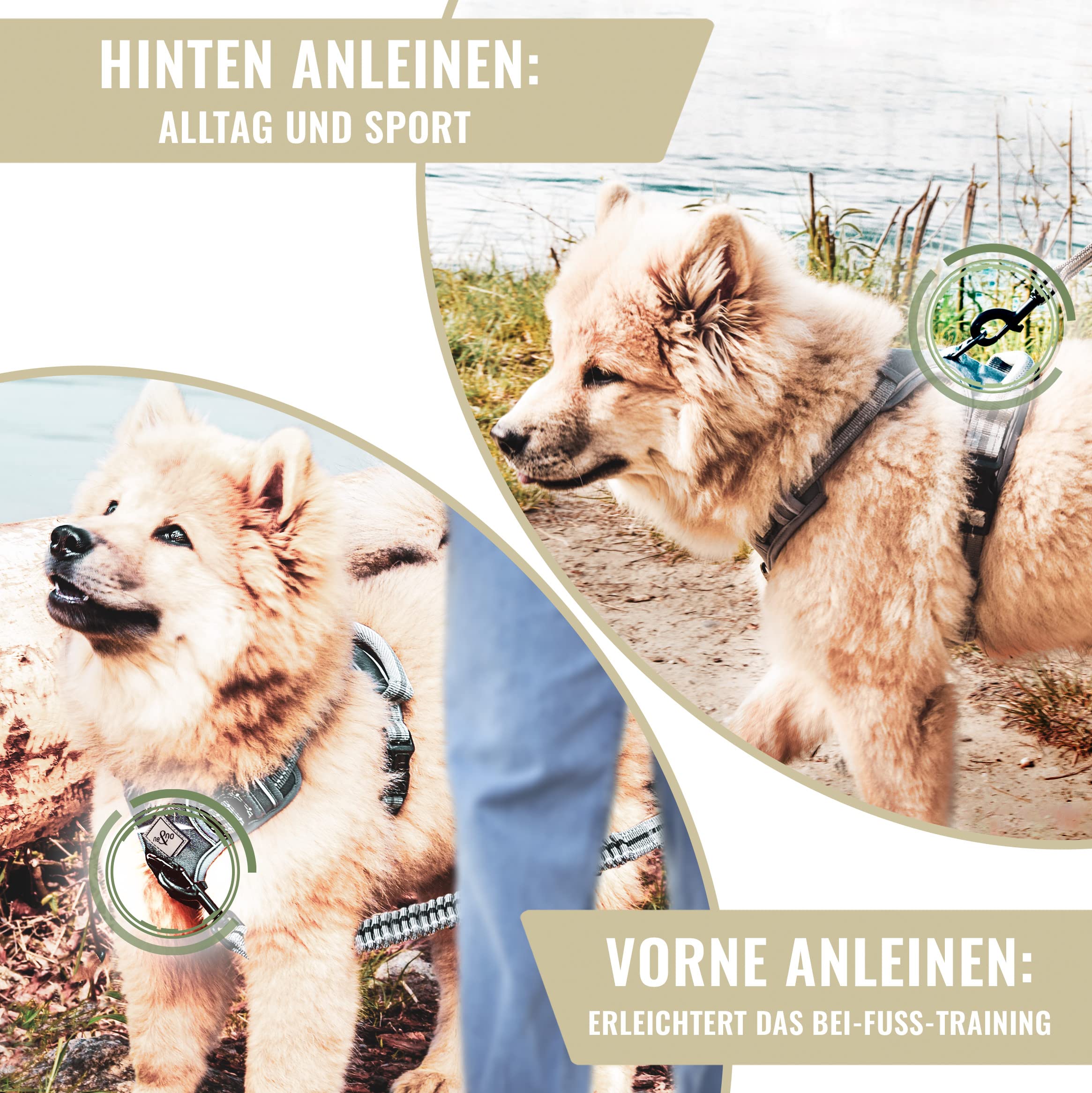 ne&no® Hundegeschirr PERSONALISIERT mit passenden Ruckdämpfer [Developed by NE&NO] Hunde Geschirrset | Brustgeschirr für kleine und große Hunde | Geschirr Hund | (XL)