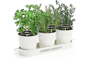 Elegant Kitchen Herb Garden Planter