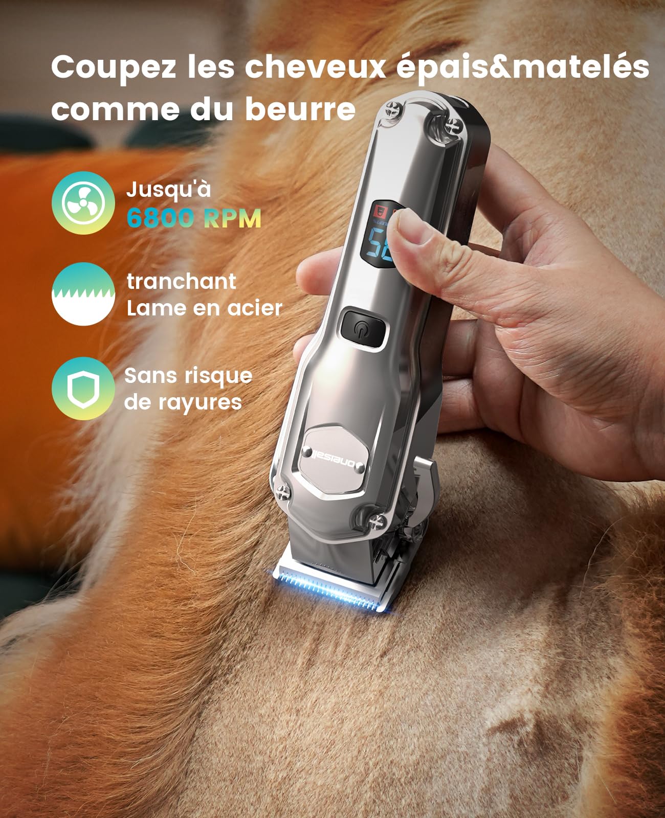 Tondeuse pour chien 4 en 1 oneisall pour poils épais/denses, tondeuse professionnelle silencieuse/coupe-griffes/lime à ongles pour petits et grands chiens et chats, batterie 4h