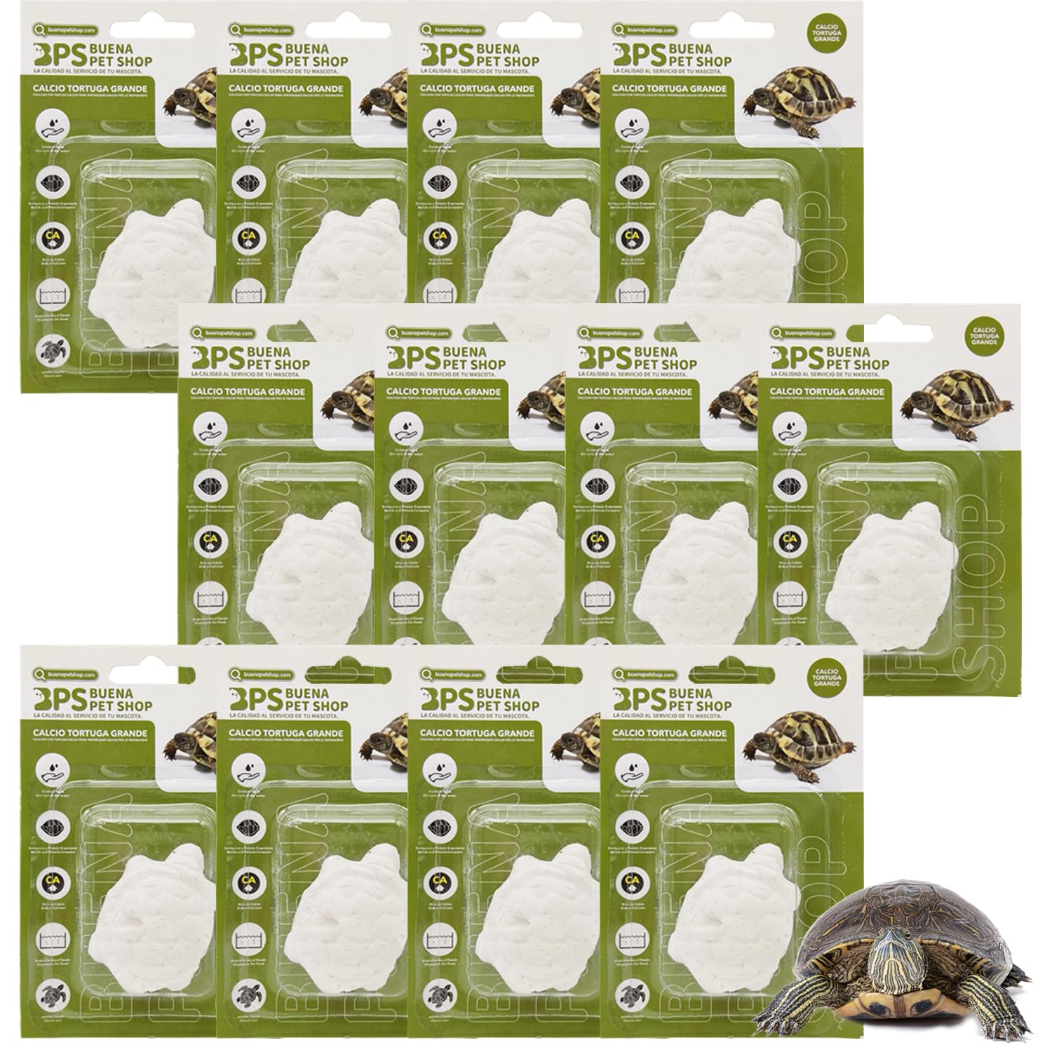 BPS 12 Pcs Bloque de Calcio para Tortugas Grande Natural Complemento Básico Tamaño Grande BPS-4133 * 12