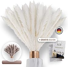 Farrell Brec 30 Stück getrocknetes Pampasgras in weiß - extra langlebig und 70-75cm Lange Trockenblumen - Pampasgras Deko Wohnzimmer , Schlafzimmer, Vase Trockenblumenstrauß (Weiß)