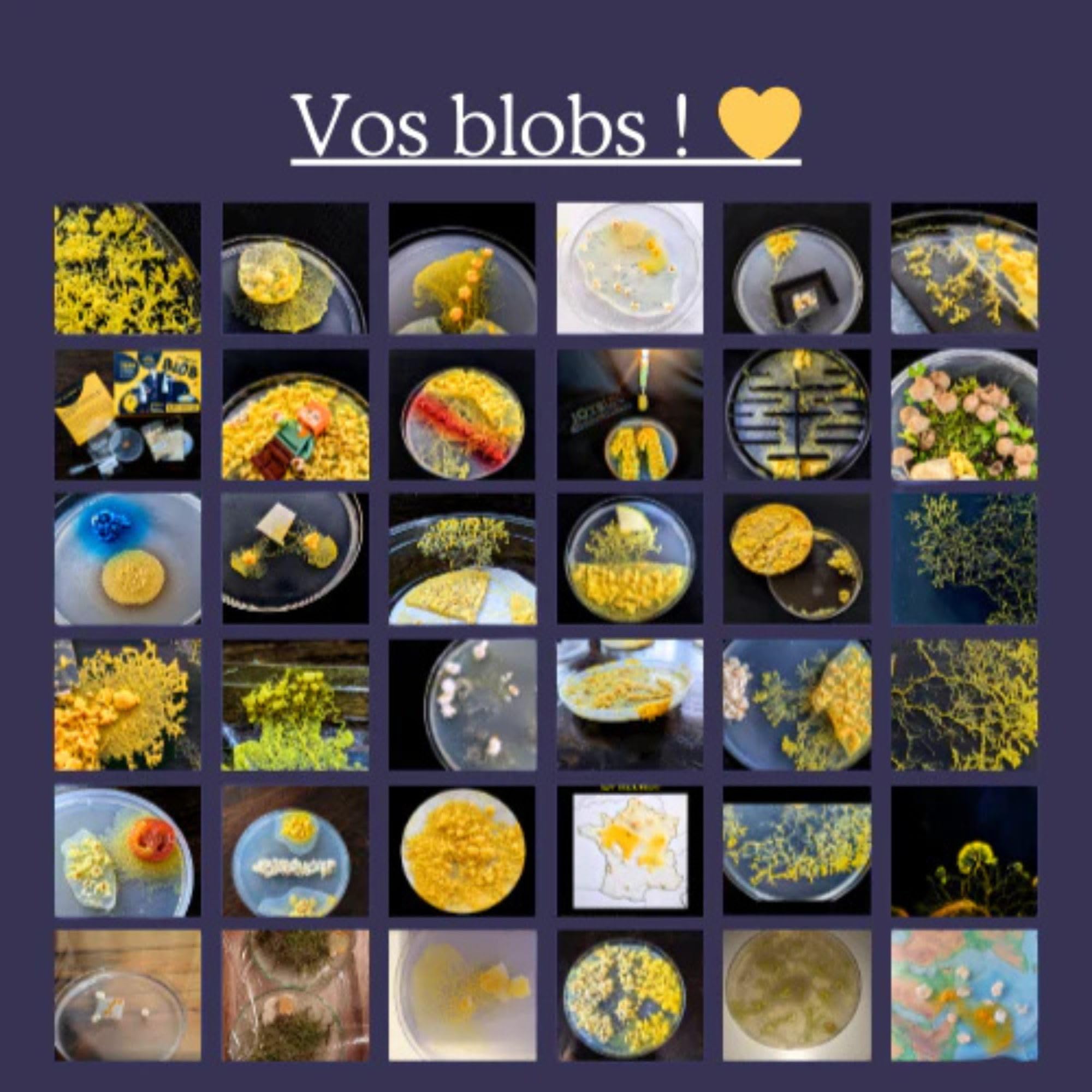 Kit d'élevage de Blob - Kit de Culture Blob - Expériences Scientifiques Enfants - Cadeau Fille Garçon