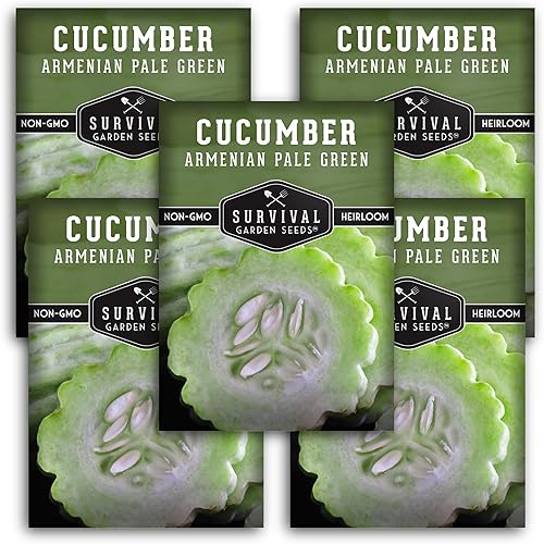 5 paquetes de semillas de pepino armenio verde pálido para plantar, paquete con instrucciones para cultivar pepinos largos sin eructos en el huerto 5 paquetes de semillas de pepino armenio verde pálido para plantar, paquete con instrucciones para cultivar pepinos largos sin eructos en el huerto