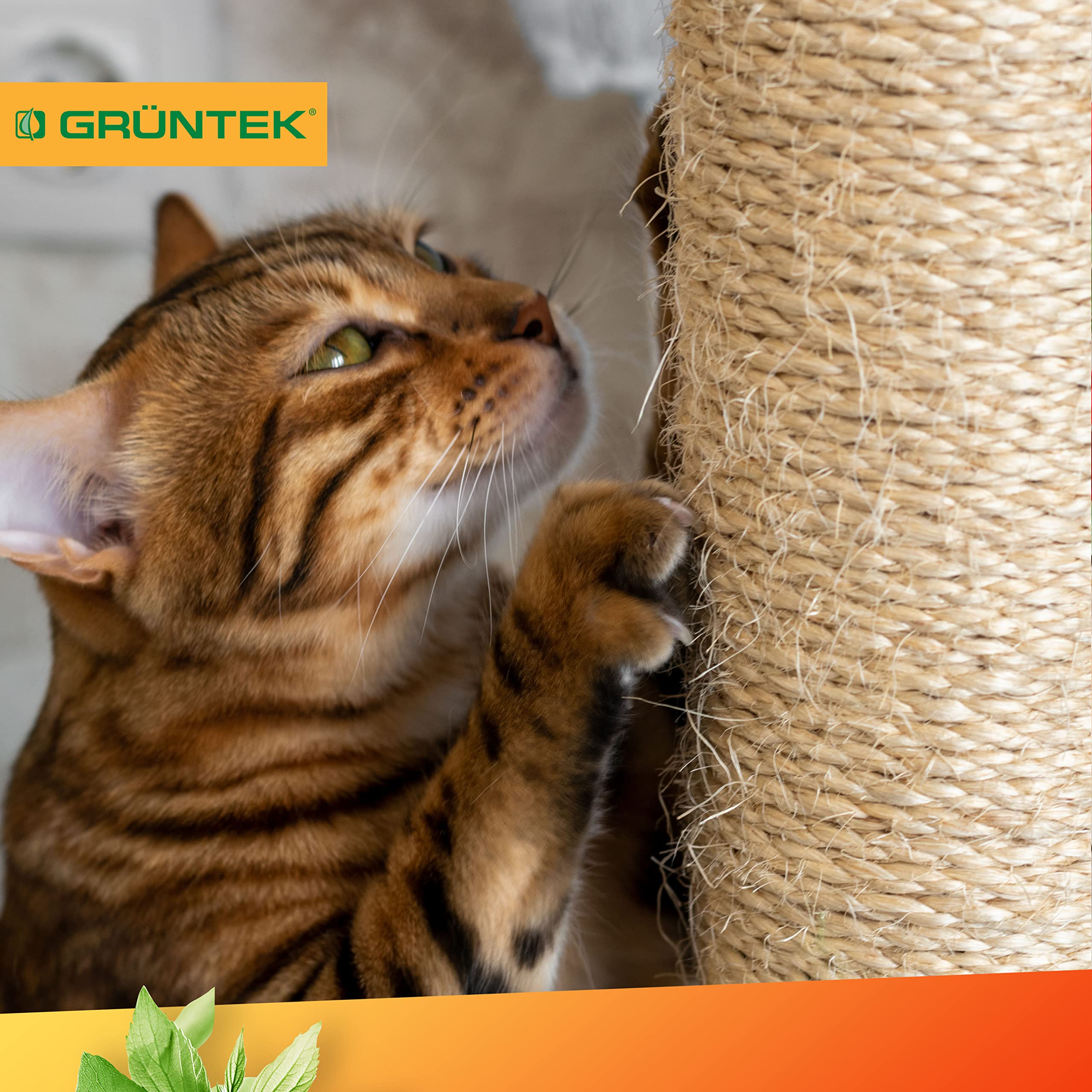 GRÜNTEK Cuerda de Yute Natural 6mm Cordel Sisal Rascador para Gatos 6mm x 1 Rollo 60 M - Cuerda Manualidades Hilo macramé para jardinería decoración Tarjetas de Regalo