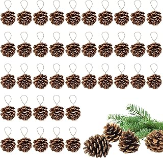 Natural Mini Pine Cones Ornaments - Tiny Pine Cones for Christmas Decor, Pinecone with Strings for Crafts Autumn Winter Wedding Decor Gift Tag (40pcs)