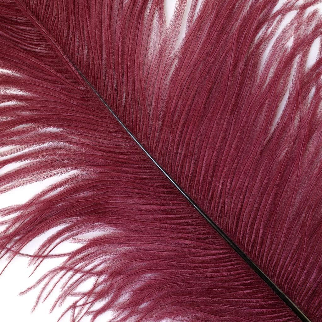 ZUCKER Large Feather Wedding Quality Home Decor, 17 Inch, Burgundy, 12 Pieces Ostrich Drab, 17"