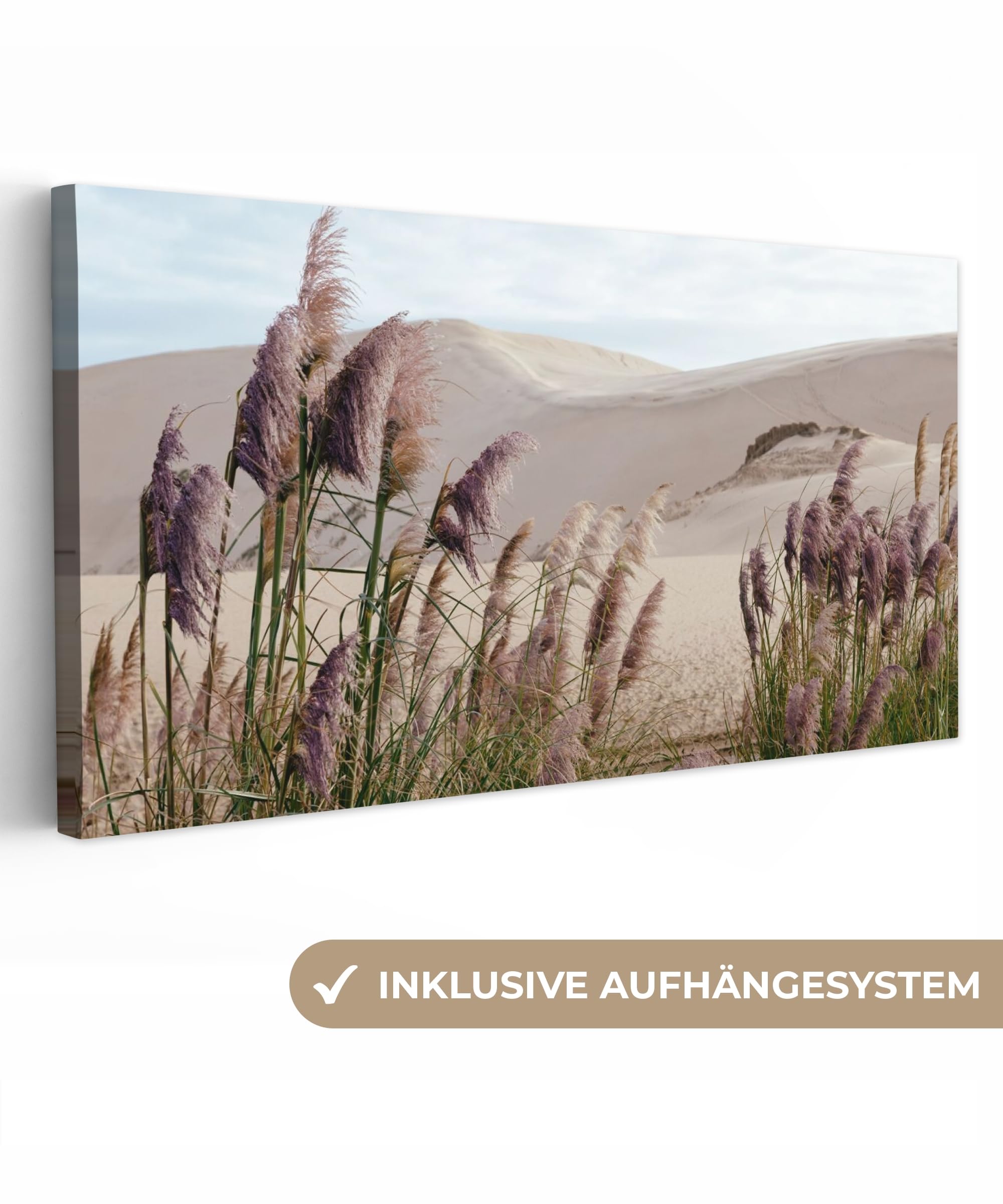 Outdoor Leinwand Bild 200x100 cm Gartenbild Wetterfest Terrasse Deko Balkon Wandbild Außendekoration Modern Draußen Pampasgras - Sand - Pflanzen - Düne