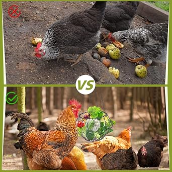 Hanging Chicken Feeder Accessories Foldable 6.5 Inch Large Feeder Basket for Poultry, Vegetables, Fruits, with 4 Chains for Hanging, Boredom Toy for Chickens, Chickens, Ducks | Chicken Enrichment Toys With 17in Hanging Chain, Poultry Feeding Equipment Rat Proof for Chicken/ Hens/ Duck/ Rabbits Coop