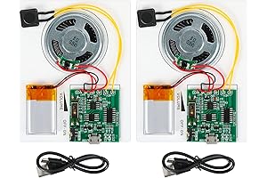 DIY Voice Recorder Module with 120 Seconds Recording Time and Push Button Activation
