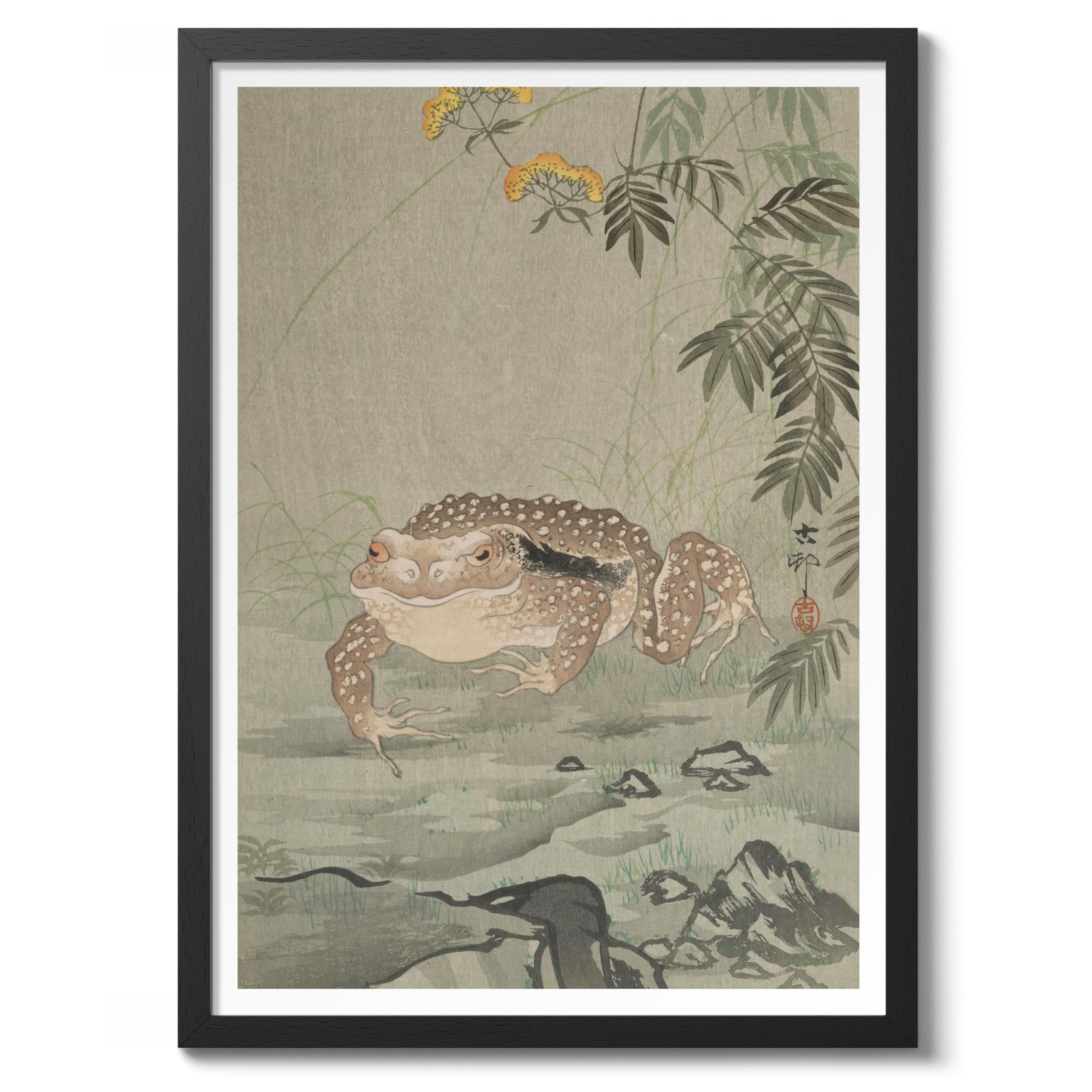 Toad Next To A Flowering Plant Ohara Koson Poster, Japanese Woodblock Ukiyo-E Print, Vintage Nature Art Picture Animal Painting Wall Art, Artwork Home Decor, A5 (Black Frame) - 24.1x17.9cm