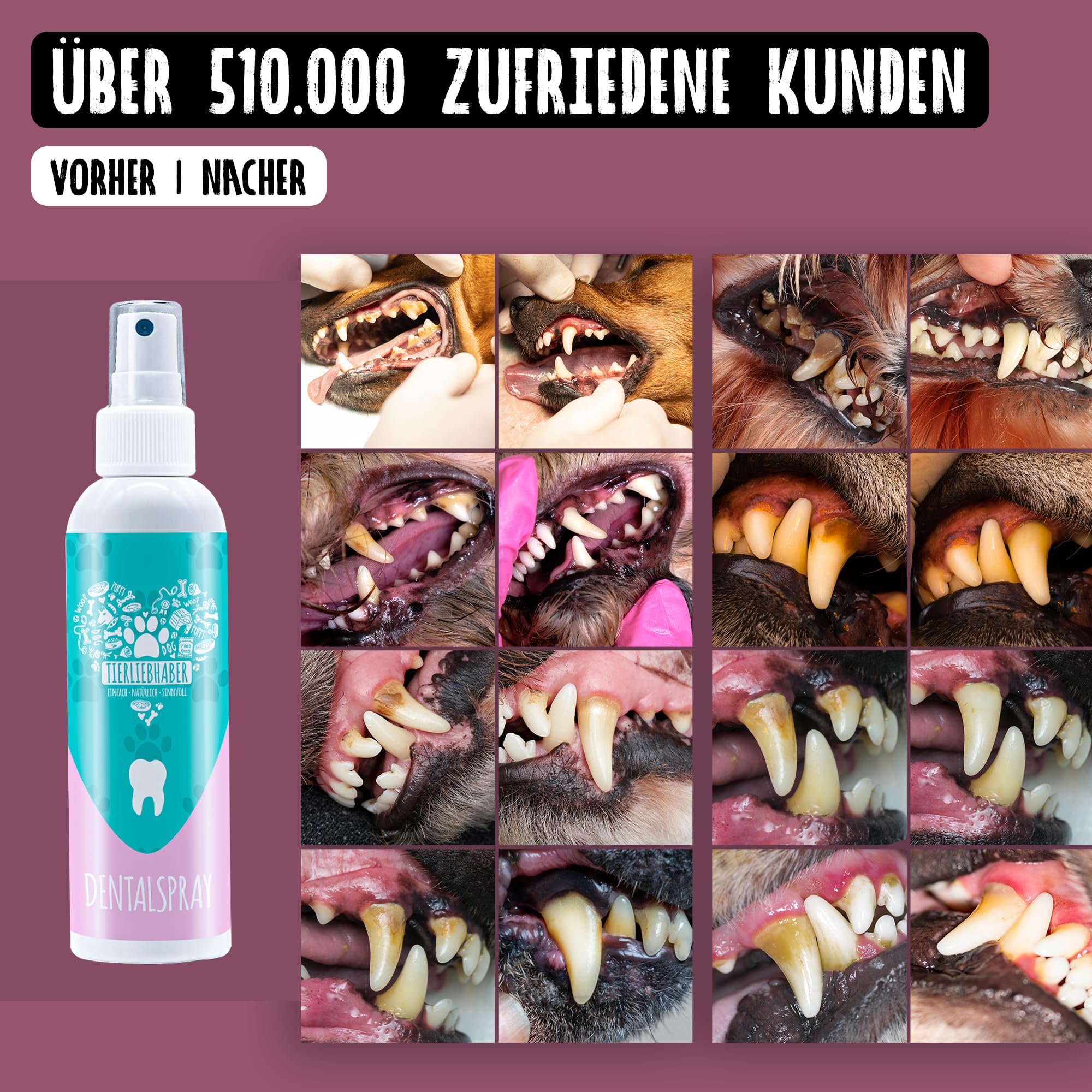 TIERLIEBHABER Dentalspray für Hunde Zahnpflege – Mit Tierärzten entwickelt – Zahnpflege Hund 100% natürlich – Schonende Zahnreinigung Hund Zahnpflege – Gegen Zahnstein Hund Mundgeruch & Zahnbelag