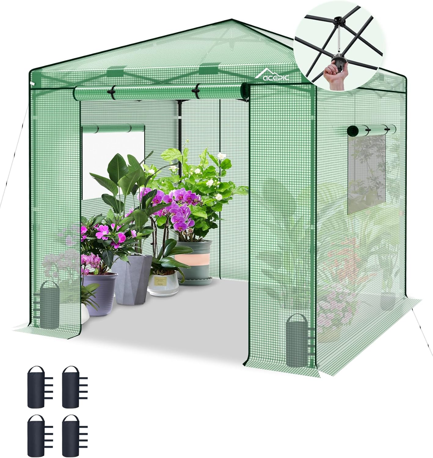 8x8 Instant Pop up Greenhouses, Indoor Outdoor Portable Greenhouse Walk-in for All Season, Small Green House with Roll-Up Zipper Doors and Side Windows, 4 Sandbags, Pe Cover, Green/Clear