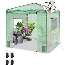 8x8 Instant Pop up Greenhouses, Walk-in Greenhouse, Green/Clear | Indoor Outdoor Portable Small Green House for All Season with Roll-Up Zipper Doors and Side Windows, 4 Sandbags