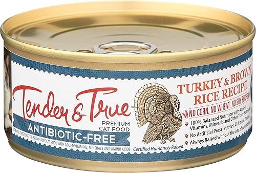 Tender & True Alimento para gatos enlatado con receta de arroz marrón y pavo libre de antibióticos, 5.5 oz, caja de 24
