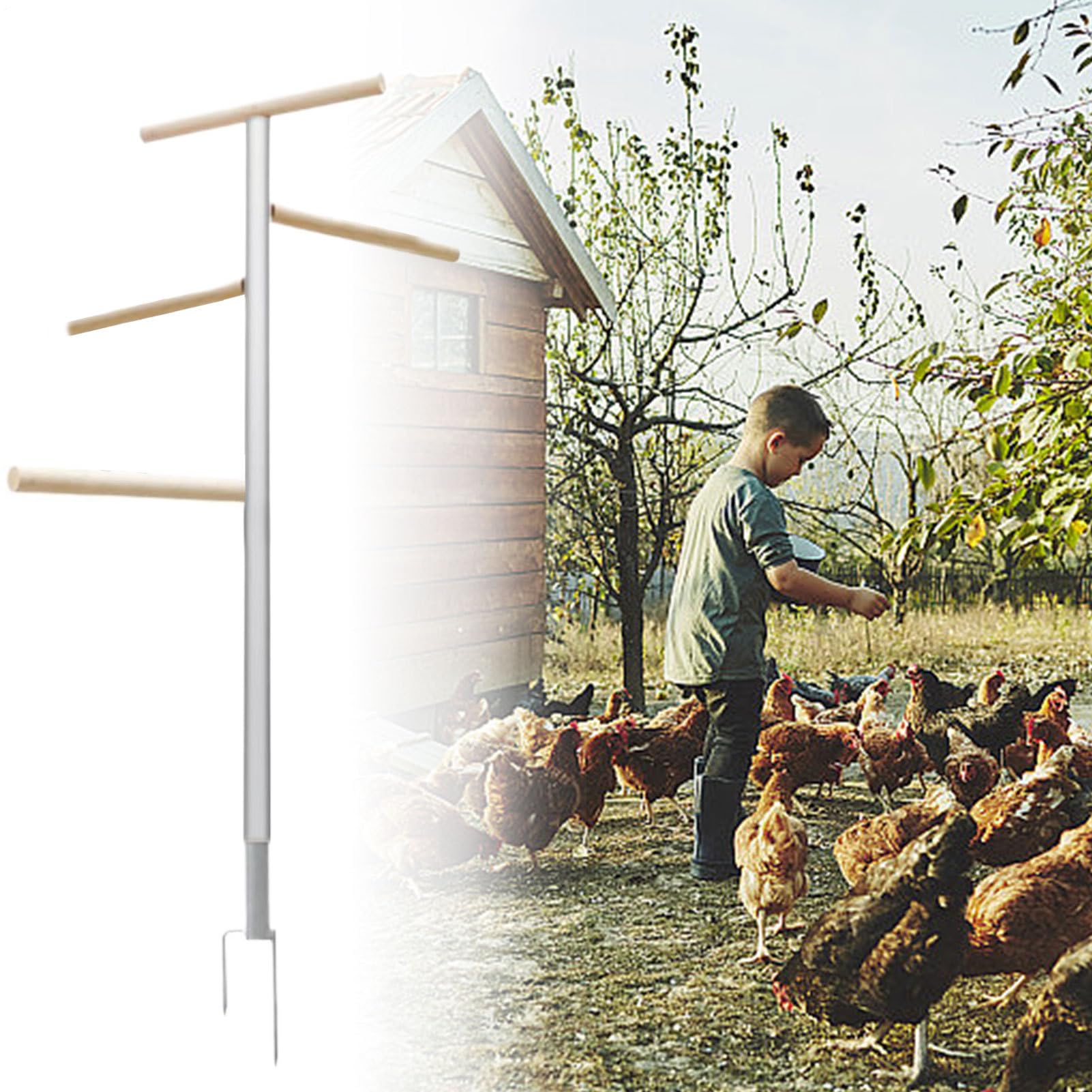 Perchoir à Poules 4 Niveaux Multifonction Et Ample Gain De Place