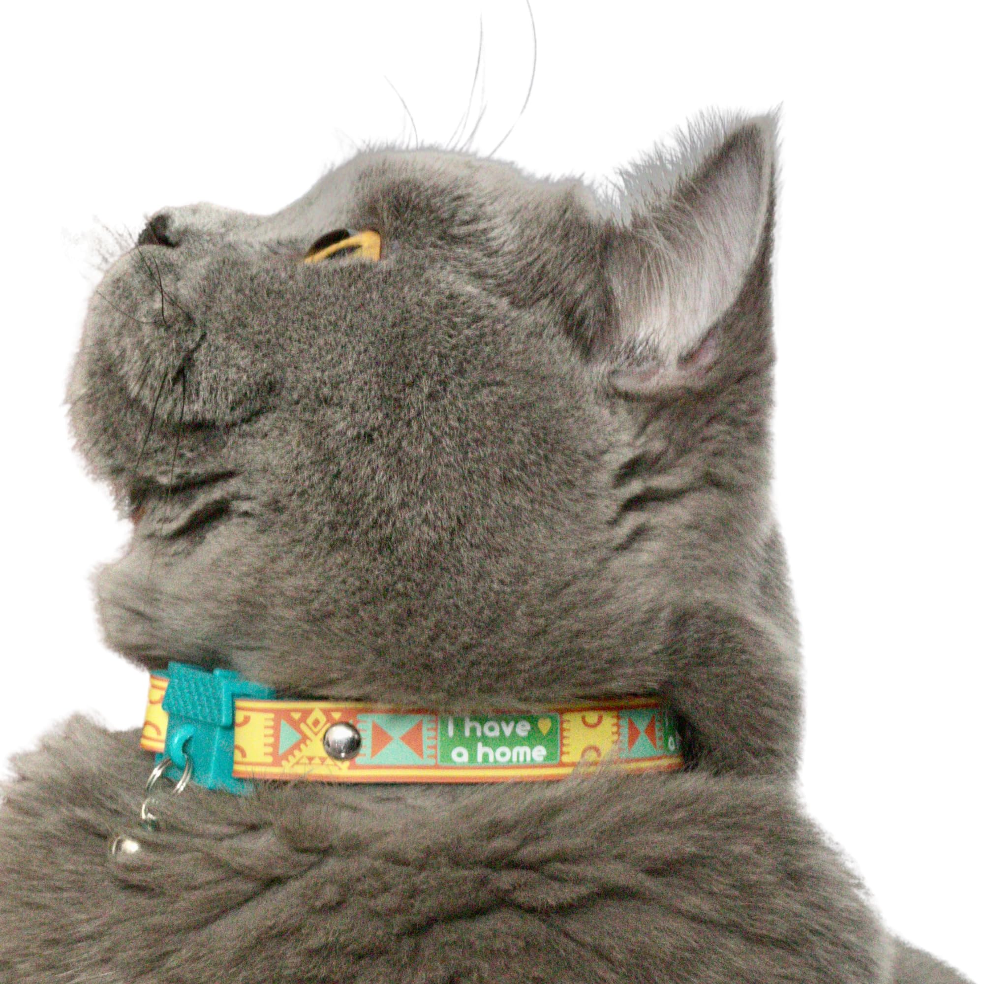 NEW Kittyrama -I Have A Home- Cat Collar with Bell. Breakaway, Quick Release, Hypoallergenic - Image 3