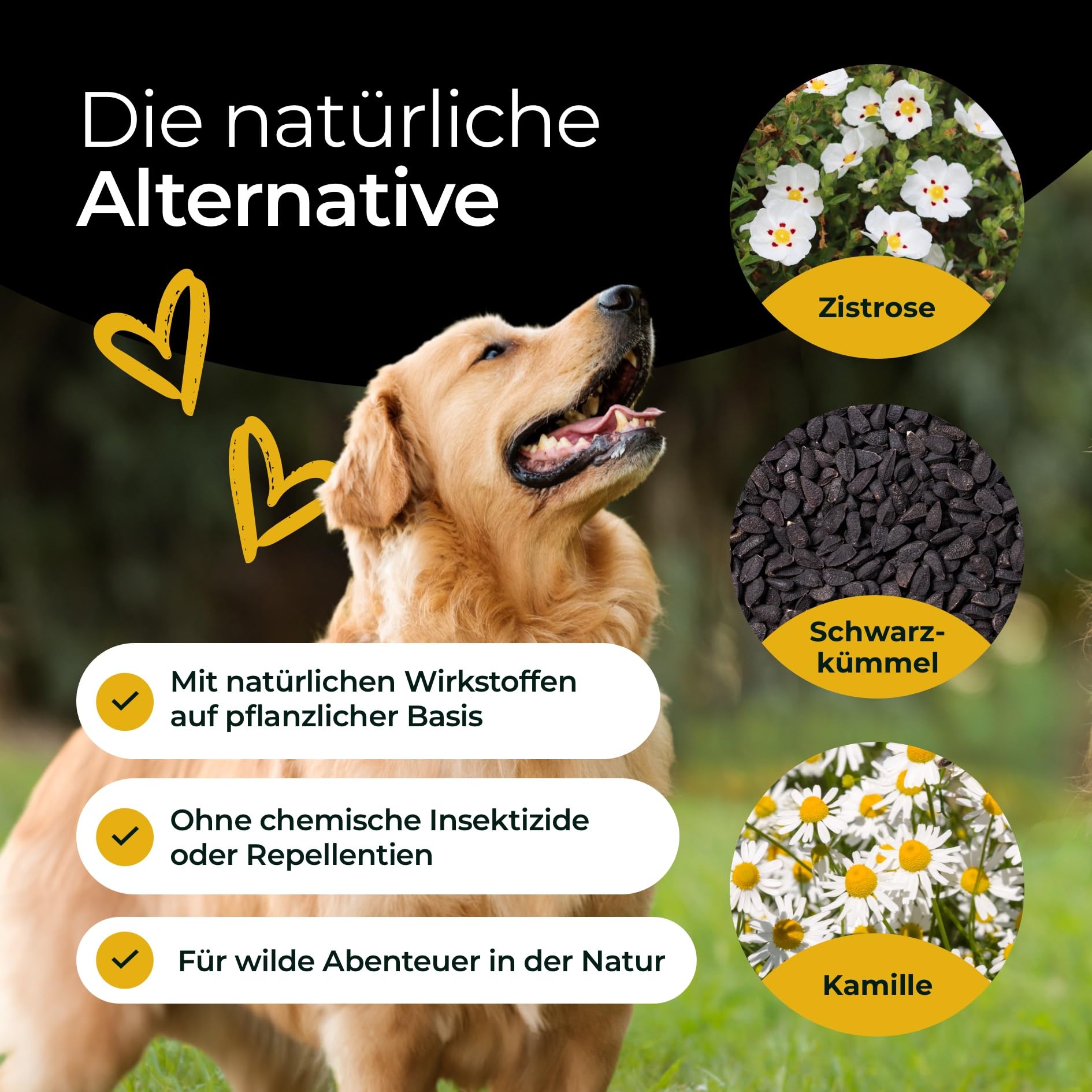 Z-Protect 300 g – pellet dla psów – bezproblemowe przygody na łonie natury – z olejkiem z czarnuszki i różą – naturalna formuła – Made in Germany