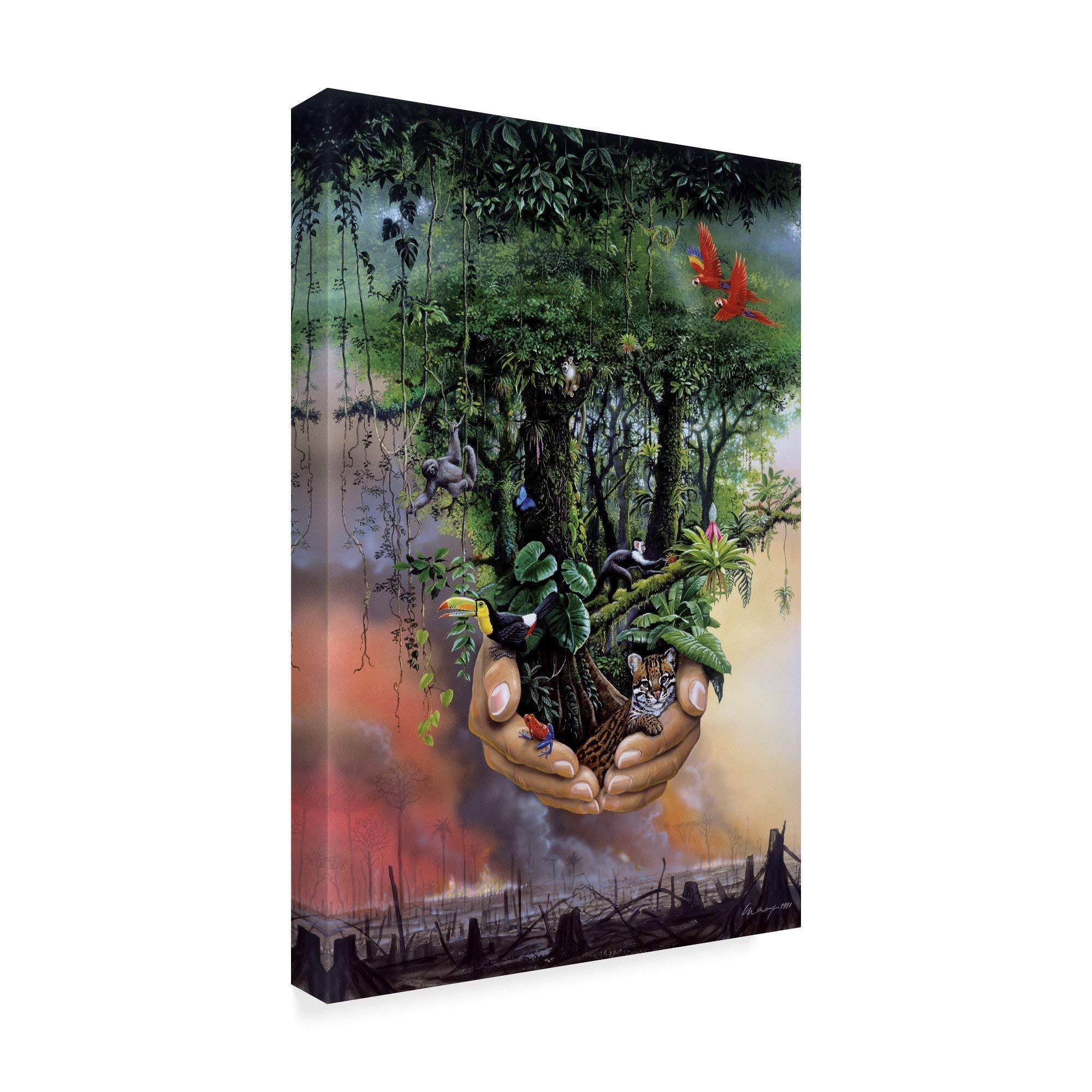 Trademark Fine Art ALI35654-C3047GG Fine Art Multicolor