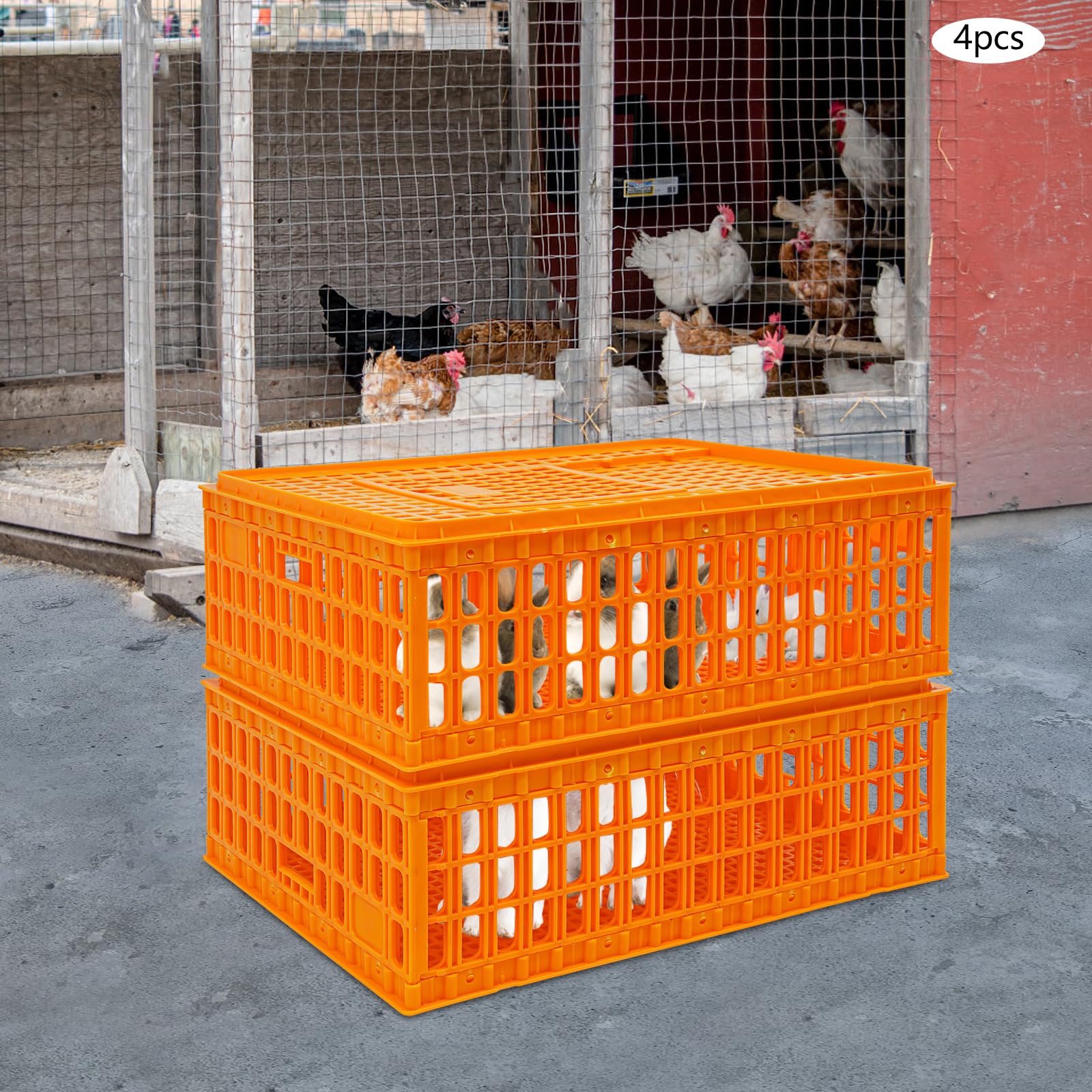 Gabbia Trasporto Pollame in Plastica 4 Pezzi Impilabile, Trasportino per Polli Anatre e Conigli con Porta Scorrevole, Struttura Rinforzata Carico 200 kg, Gabbia per Animali da Cortile 77x55x27 cm