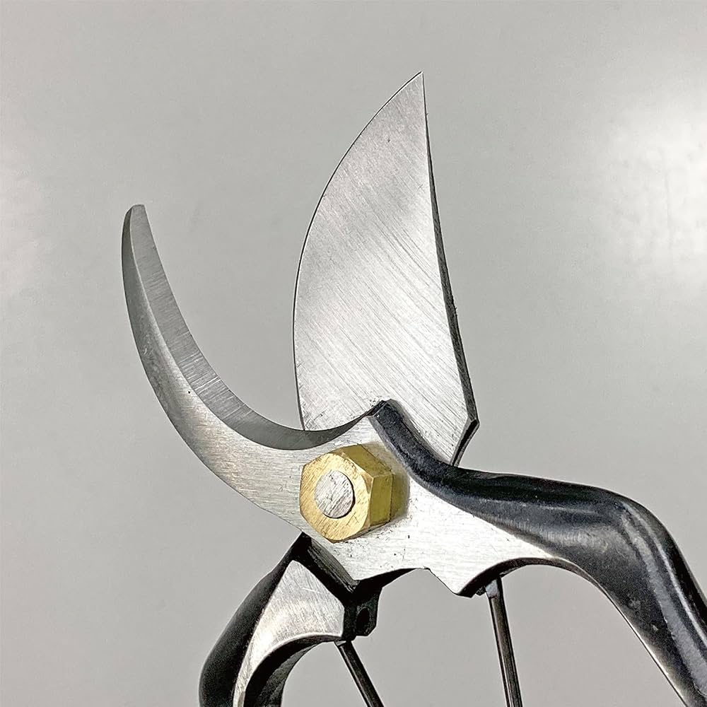 Amazon | キンボシ(Kinboshi) 金星 国之長B型剪定鋏 150㎜(金止