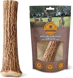 WhiteTail Naturals Monster XXL Whole Deer Antler for Giant Dogs - 7-8" | Jumbo XXL Long Lasting Antler Dog Bone - Naturally Shed - Wild Sourced - Crafted in USA - For Giant Aggressive Chewers
