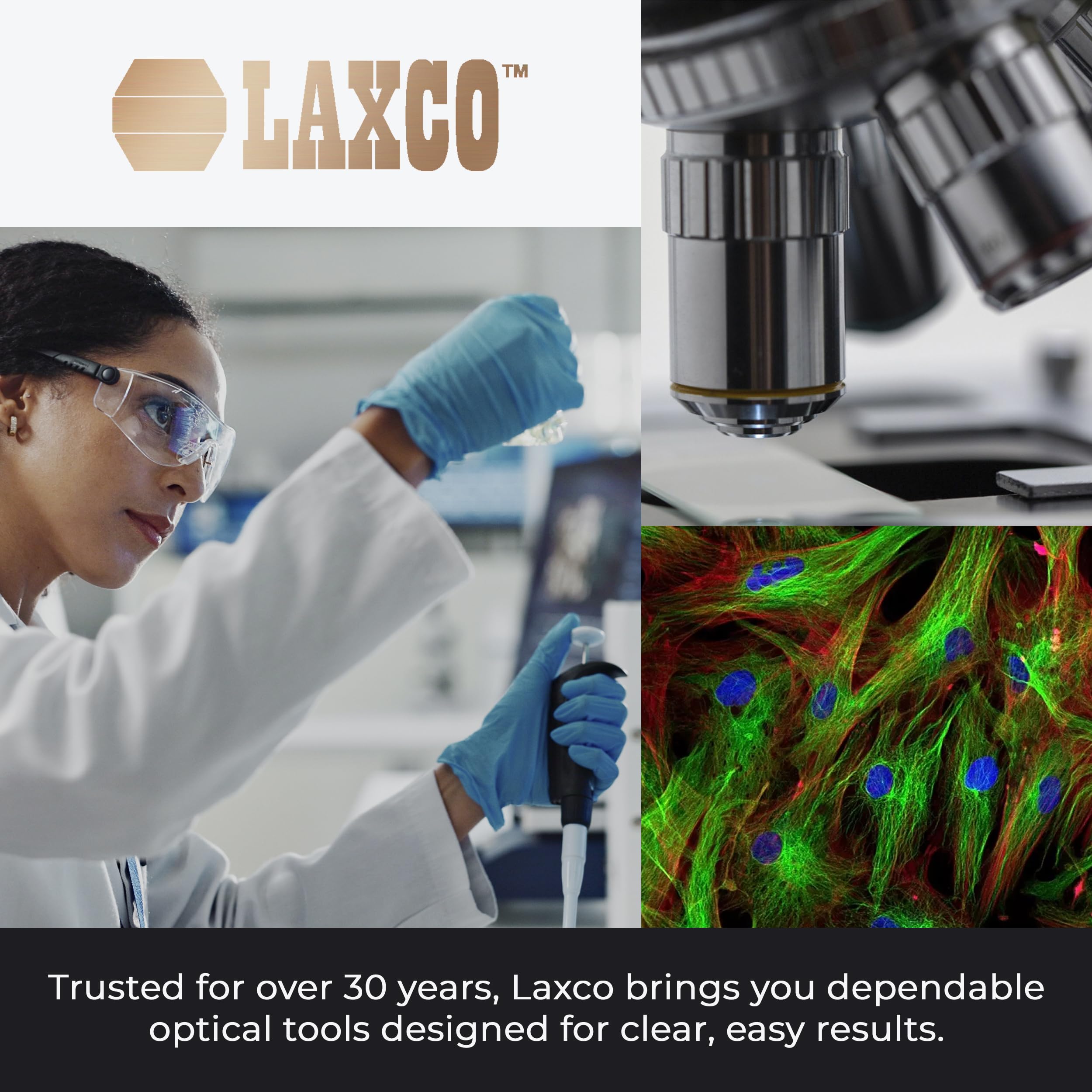 Refractómetro analógico de mano Brix 0-10% con ATC, medidor Brix de metal duradero para contenido de azúcar, prueba de concentración de jugo y medición