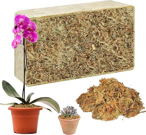 Hourleey Musgo Sphagnum de 10.6 onzas para plantas, maceta de musgo seco de fibra larga natural de primera calidad, musgo de turba esfagnum a granel