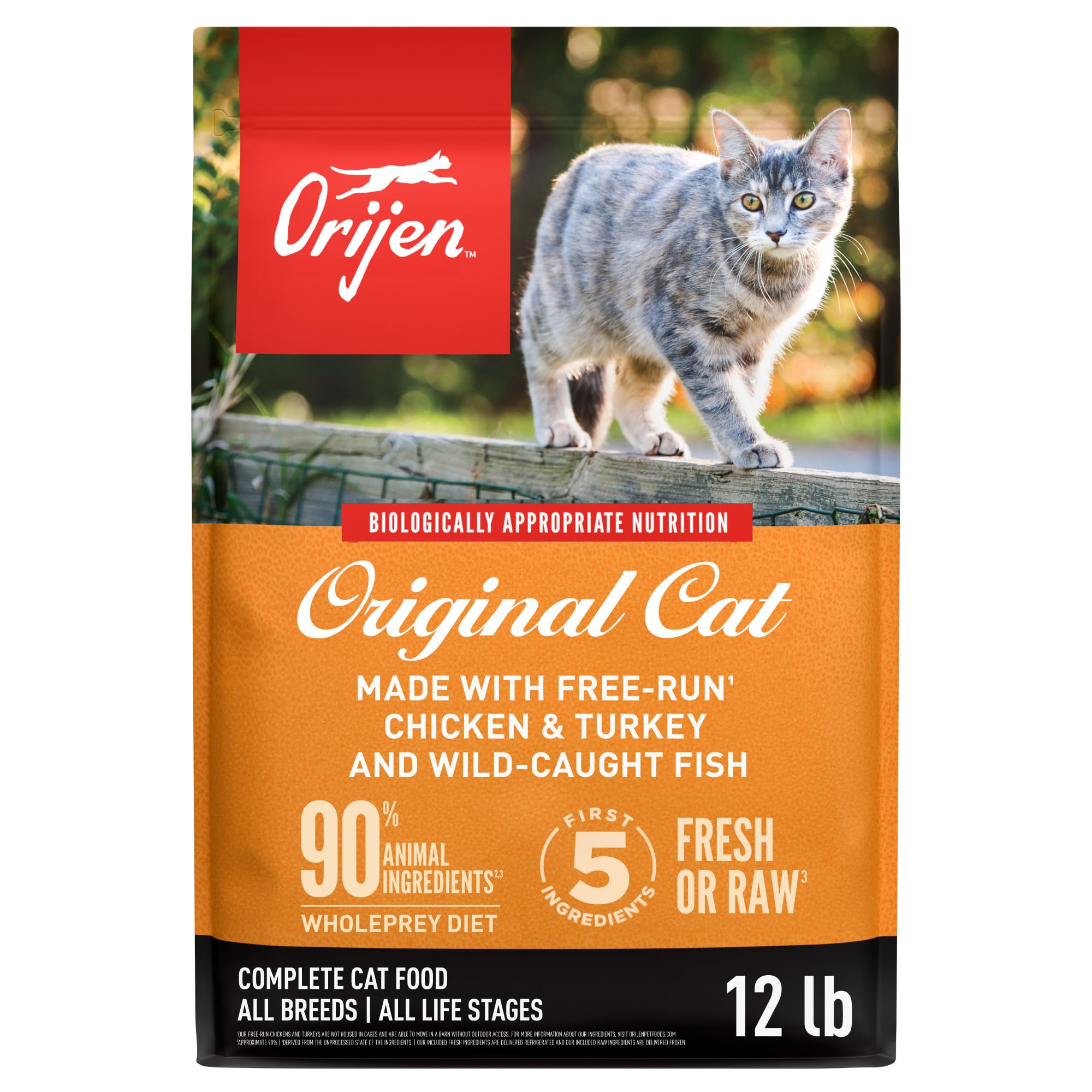 Amazon.co.jp: Orijen(オリジン) キャットフード キャット&キトゥン
