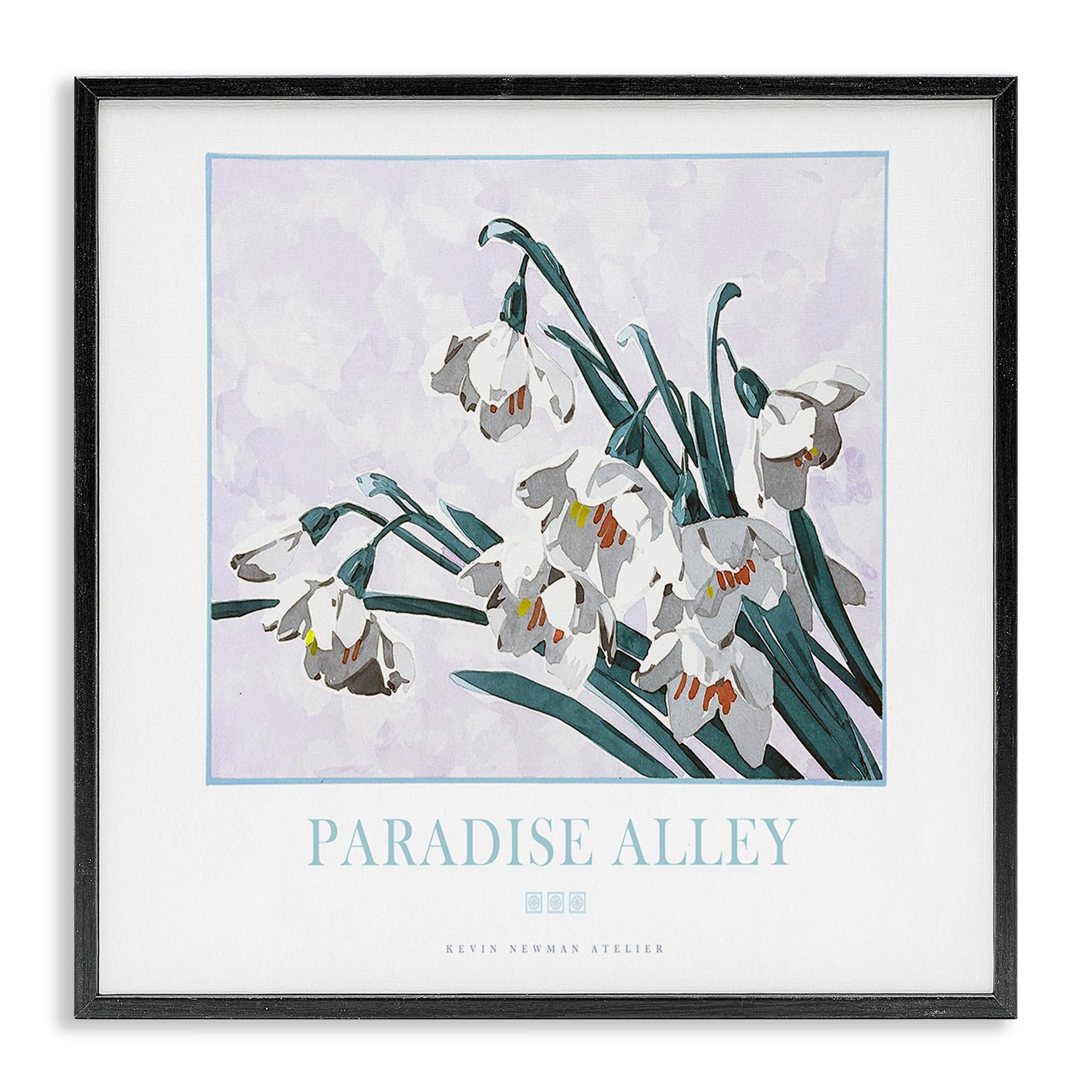 Stupell Industries 'Paradise Alley White Spring Blooms', Framed Giclee Art, Black, 24 x 24 Inches, Easy to Hang and Sturdy, Made in USA, by Jadei Graphics